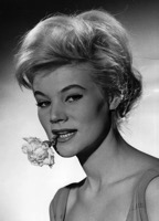 Birgit Bergen